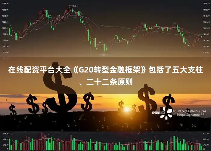 在线配资平台大全《G20转型金融框架》包括了五大支柱、二十二条原则