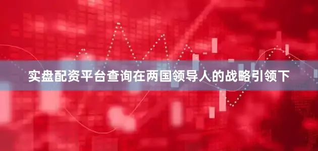 实盘配资平台查询在两国领导人的战略引领下